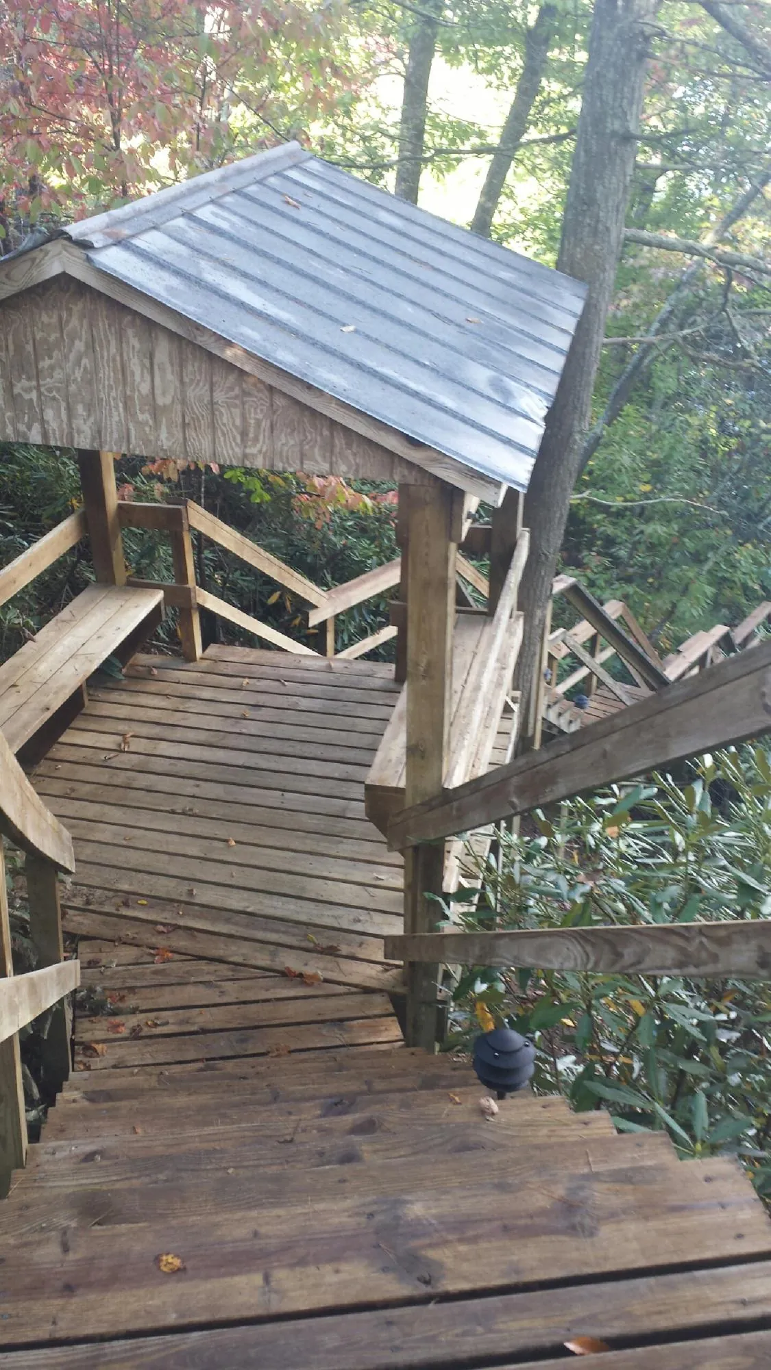 Metal roofed shelter over wooden steps on a wooded walkway — Skylight Repair & Installation work by our crew in Buies Creek
